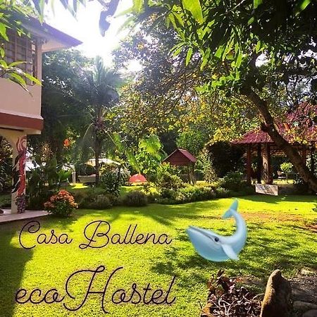 Casa Ballena Eco Hostel Uvita Exterior foto